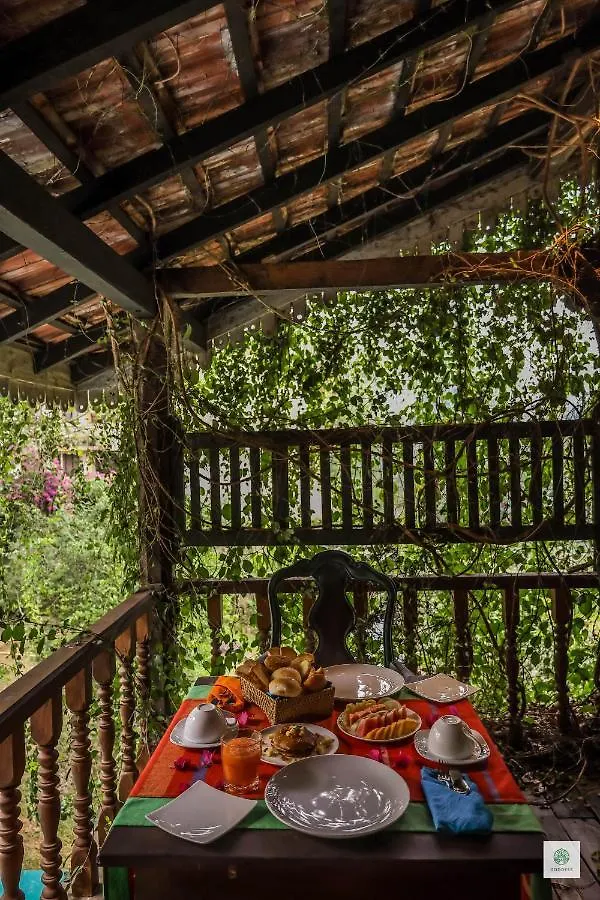 Goddess Kandy Bed & Breakfast