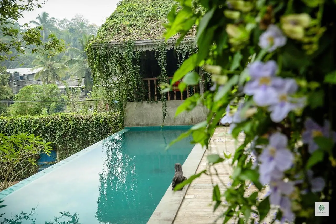 Bed & Breakfast Goddess Kandy