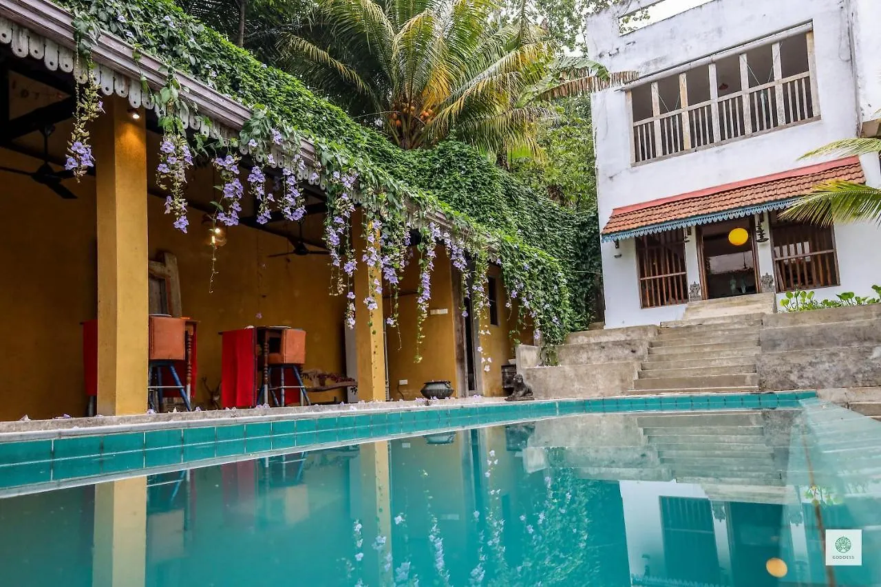 Bed & Breakfast Goddess Kandy Sri Lanka