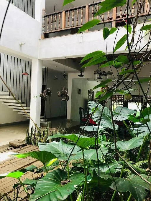 Goddess Kandy Bed & Breakfast