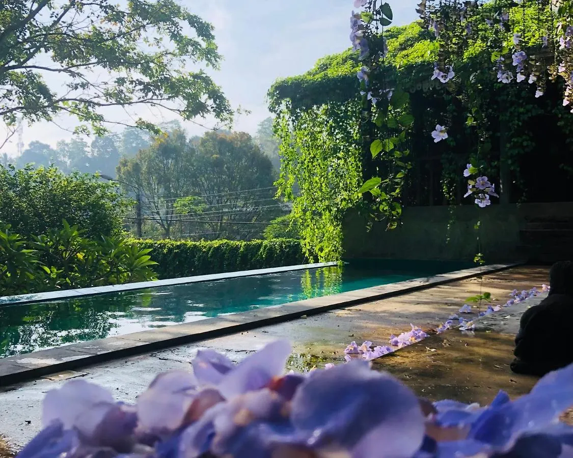 Bed & Breakfast Goddess Kandy