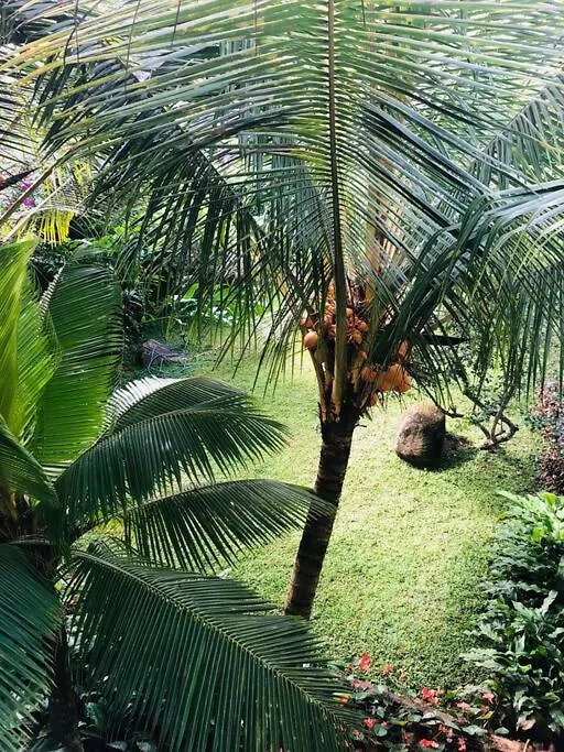 Bed & Breakfast Goddess Kandy
