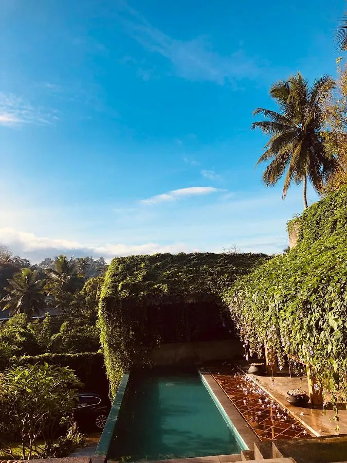 Goddess Kandy Bed & Breakfast