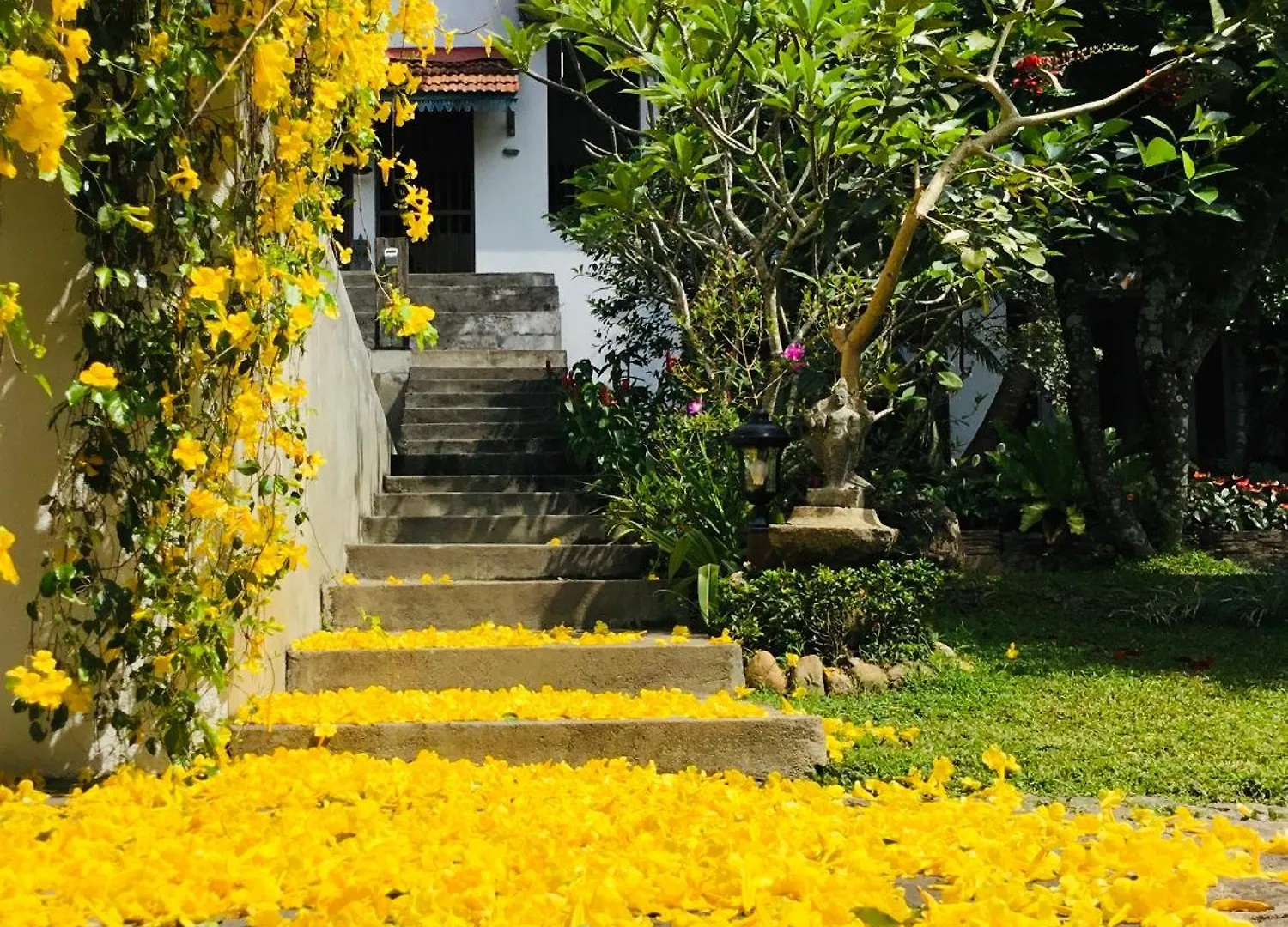 Goddess Kandy Bed & Breakfast