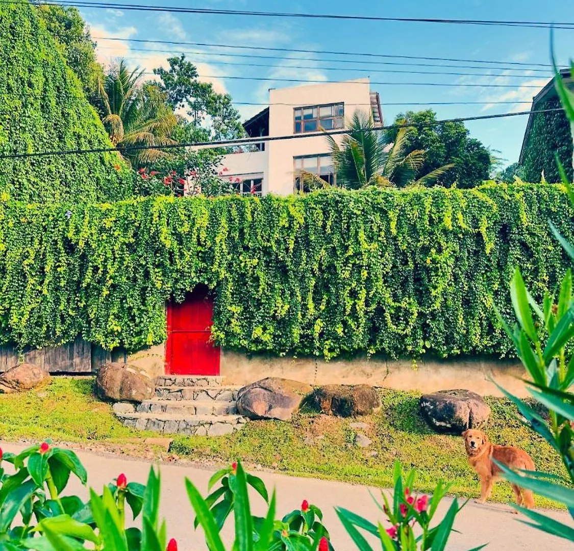 Bed & Breakfast Goddess Kandy