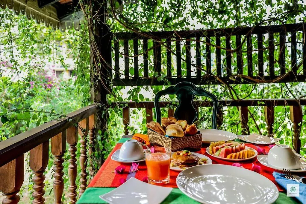 Goddess Kandy Bed & Breakfast