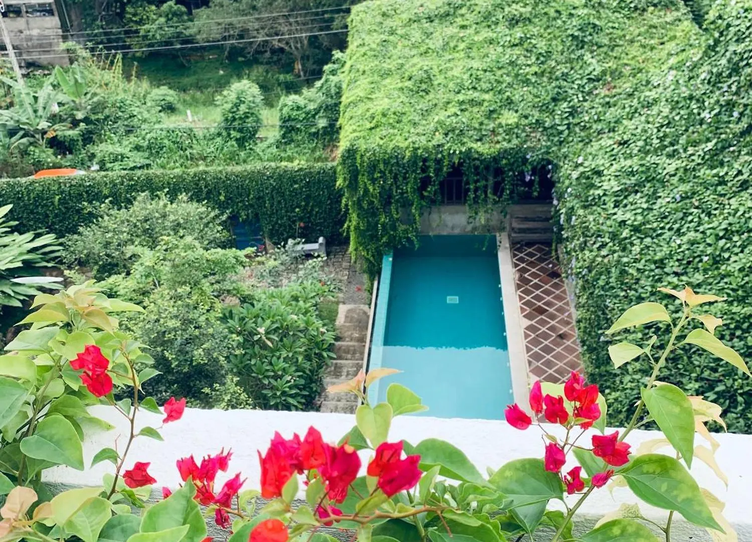 Goddess Kandy Bed & Breakfast